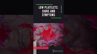 Low Platelets Signs and Symptoms shorts [upl. by Oriaj774]