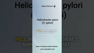 Helicobacter pylori H pylori [upl. by Kram]