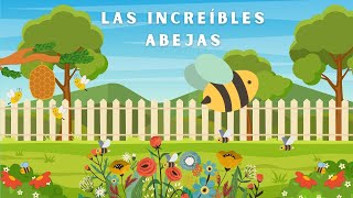 Las Increíbles Abejas Video Educativo Animado [upl. by Uri]