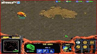 스타크래프트 유즈맵 세포 키우기 1 Raise CellStarcraft use map [upl. by Paluas10]