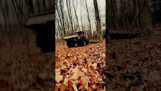 logging BIG sticks 🪓 🌳with the timberjack logger woods loggingvideos [upl. by Low]