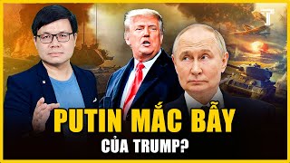 SAI LẦM CHÍ MẠNG CỦA PUTIN VƯỚNG BẪY TRUMP NẾU KHÔNG CHẤP NHẬN HÒA ĐÀM [upl. by Dorion]