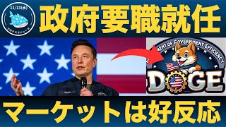 【反転上昇の兆し！】イーロンが政府効率化省DOGEのトップに就任！！ [upl. by Atterg]