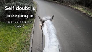 Am I being overambitious AGAIN selfdoubt is creeping in  Equestrian VLOG [upl. by Nodnas]