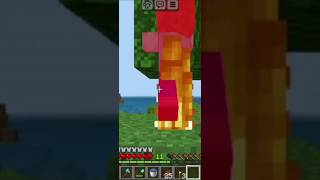 Sheshh minecraft clips shorts [upl. by Kat]