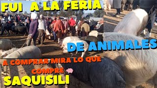 SAQUISILI la feria más barata del Ecuador 🇪🇨 [upl. by Eynaffit]