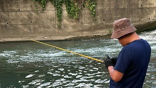 We try catch fish this big running water using snaggin [upl. by Airbas]