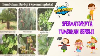 Spermatophyta  Tumbuhan berbiji [upl. by Ellehcir296]