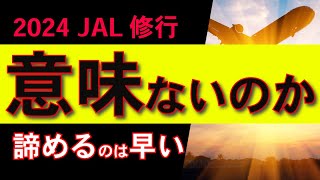 【JAL修行】JGC取得が不可能な2024年JMBサファイアに価値はあるのか？ [upl. by Navlys]