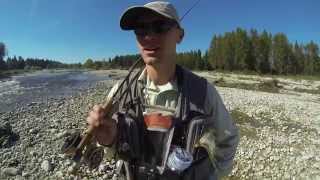 Wędkarstwo muchowe  Przemysław Półtorak Guide Fly Fishing in Poland  Awesome Polish river Bialka [upl. by Auhsot]