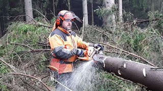 Garden and Forest VS Chainsaw Husqvarna 560XP Innovated NEW Model 2021 [upl. by Erialc]