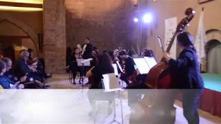 SANT MARTÍ DEL CANIGÓ PAU CASALS Sardana versió per a orquestra de corda [upl. by Hoffmann]