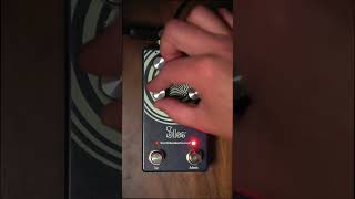 EarthQuaker Devices Silos MultiGenerational Time Reflection Device Delay [upl. by Kessel427]