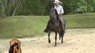 Caballo Misterio de Ginebra Reproductor Colombiano TvAgro por Juan Gonzalo Angel [upl. by Snapp322]