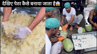 Worlds Biggest Petha Sweets making factory😱  Indian Food  Foodies Fab [upl. by Assilaj]