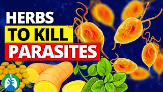 🌱Top 10 Best Herbs for Parasites Natural Detox and Cleanse [upl. by Juditha]