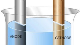 Class 10 electrolysis of water [upl. by Gnouhc627]