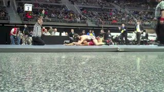 MHSAA State Wrestling Championships [upl. by Nibbor741]