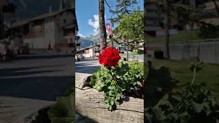 Zermatt The Most Unbelievable Travel Experience [upl. by Odnolor113]