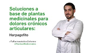 Soluciones a base de plantas medicinales dolor crónico articular Harpagofito  PlantasMedicinales [upl. by Auod]