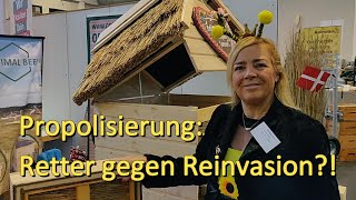 Propolisierung Retter gegen Reinvasion [upl. by Yenffad]