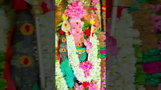 pachai mayil vaahanane muruga song ♥whatsapp status🦚 pon nagamalai murugan temple 🦚 [upl. by Race]