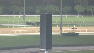 MEYDAN TRIALS 131124 TRIAL 4 [upl. by Nylyrehc]