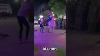 Mastan का नागिन dance कैसा लगाmastani horse farm short video viraldance youtubeshorts [upl. by Basilio]