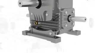 Worm Gearbox Worm Reduction Gear Box Worm Speed Reducer and Gear Motor Manufacturer [upl. by Santoro]