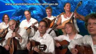 Earth Song Michael Jackson Mandolin Orchestra Zupforchester Cover [upl. by Gievlos185]