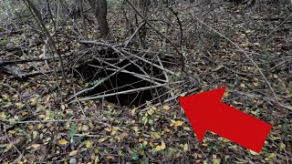 Creepy Open Well Found While Searching For 3 Lost Graves Baughville Georgia [upl. by Ezana]