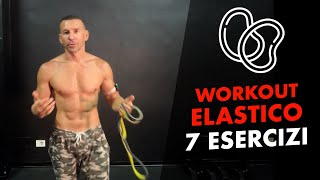 7 esercizi con Elastici per una Scheda Full Body [upl. by Saxe871]