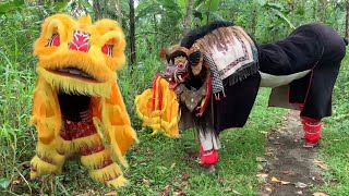 Barong Bangkung vs Barongsai [upl. by Anaytat]