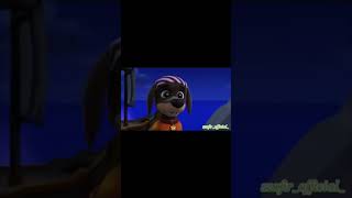 arrby pirates jamnik puppy cute sweet edit pawpatrol [upl. by Eahcim305]