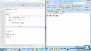 How to Target IE6 IE7 and IE8 Uniquely [upl. by Brandise970]