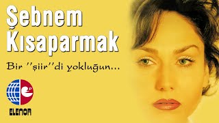 ŞEBNEM amp FATİH KISAPARMAK  SENİ SEVİYORUM  KLİP [upl. by Hannon29]