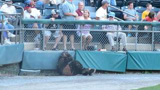 The World Famous Monkey Boy Attacked at the Nashua Silver Knights baseball game [upl. by Brien]