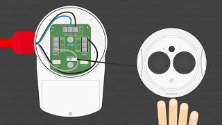 Fireray One Set Up Guide [upl. by Seaver]