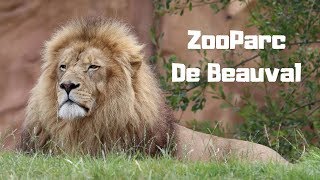 ZooParc De Beauval  Trip Highlights [upl. by Naie]