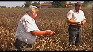 Kömlői Május 1 MGTSZ egy munkanapja 19910824 [upl. by Ahsikyw269]