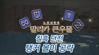 파판14 칠흑 던전 탱커 몰이 공략  말리카 큰우물 Malikahs Well [upl. by Ekram]