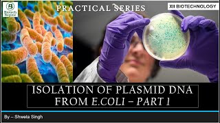 Plasmid DNA Isolation Experiment  PART 1 [upl. by Sheela]