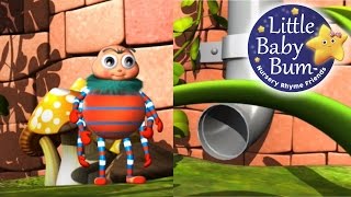 Incy Wincy Spider  LittleBabyBum  Nursery Rhymes for Babies ABCs and 123s  LBB [upl. by Adnarram]