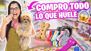 COMPRO TODO LO QUE MI PERRO TOCA EN LA TIENDA 😱 Mi Princesa Miniatura Marie 😅 El Mundo de Camila [upl. by Laius648]