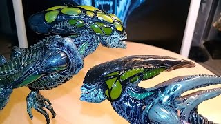 Trophy chase Neca Spitter Alien amp Burster Alien Series 2 from Aliens Fireteam Elite Review [upl. by Wilber324]