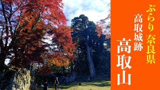 【奈良】高取山〔高取城跡〕へ登りました！（2024年11月） [upl. by Adnamahs]