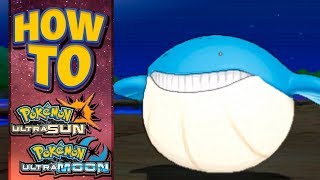 HOW TO GET Wailmer in Pokemon Ultra Sun and Moon [upl. by Sedecrem]