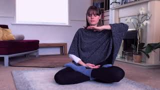 Meditation Falun Dafa Exercise 5 Demonstration Qigong Practise [upl. by Elmaleh]