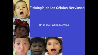 Fisiología de las Células Nerviosas Dr Jaime Padilla Morales [upl. by Adigirb539]