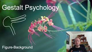 MerleauPonty Phenomenology of Nature Key Concepts part 6 gestalt psychology [upl. by Rother832]